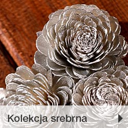 Kolekcja bożonarodzeniowa srebrna