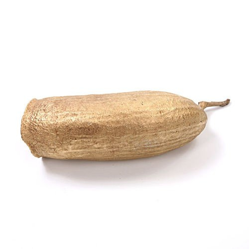 Seru fino natural 13-16 cm lakierowane złote