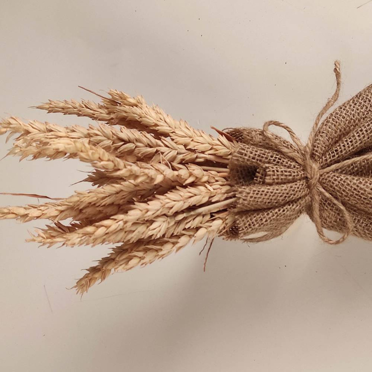 Bukiet traw zboże naturalne w jutowym woreczku  25-30 cm 
