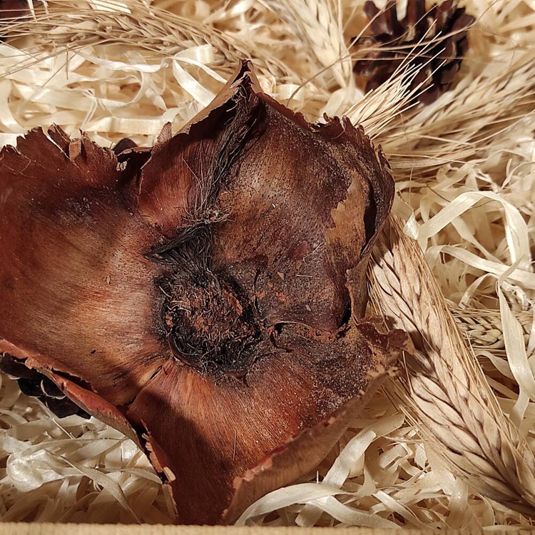 Prezent wielkanocny, upominek dla firm - Zestaw prezentowy złoto-brąz Natura