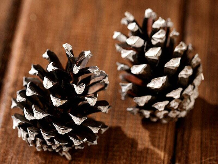 Szyszki sosny z ręcznie bielonymi brzegami – zestaw 60 sztuk | 