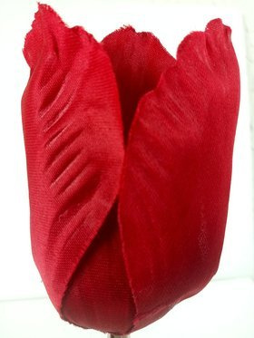 Tulipan główki 8 cm 6 szt czerwony