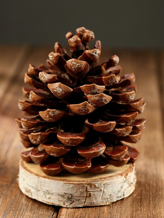 Szyszka dekoracyjna na podstawie z drewna – ozdoba świąteczna Boże Narodzenie naturalna eco handmade