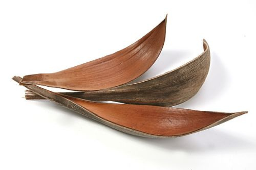 Naturalny Zestaw DIY 3 Łuski Kokosowe 15-20  cm do Aromatycznych Dekoracji