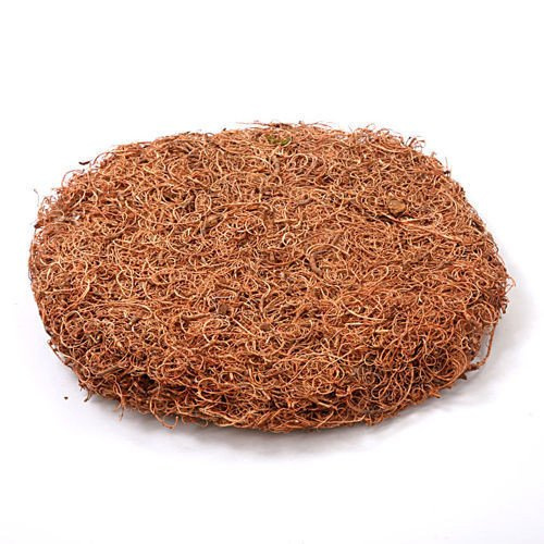 Mech kręcony natura mata 30cm