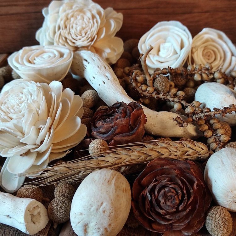 Suszone rośliny Kłosy zboża, naturalne ozdoby  48 szt/op