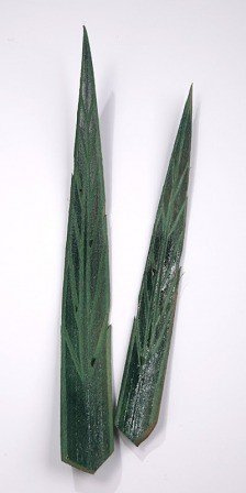 Rambuttam zielony – komplet 2 sztuki (35 cm)