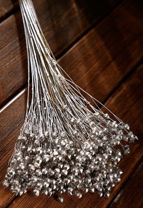 Len srebrny wiązka 30-35 cm