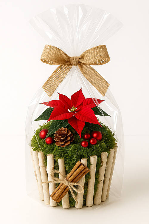 Patyki wybielone 30 cm – wiązka 6 szt – dekoracja naturalna do DIY, florystyki i aranżacji świątecznych