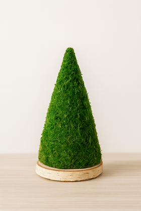 Choinka z mchu na plastrze drewna brzozowego 24 cm