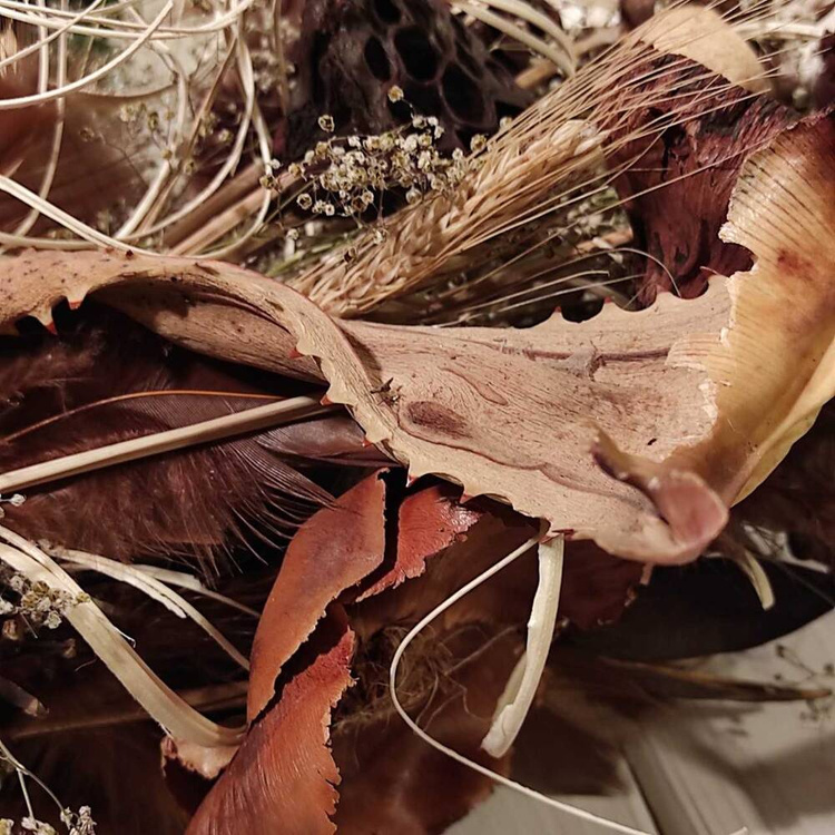 Bukiet z suszonych roślin do wazonu