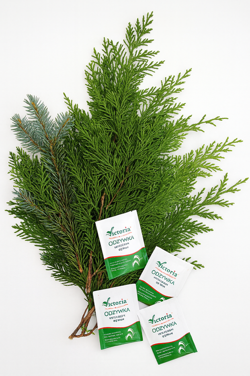 Zestaw Zielonych Gałązek z Odżywkami – Naturalna Dekoracja Świąteczna DIY | Jodła, Tuja, Sosna 