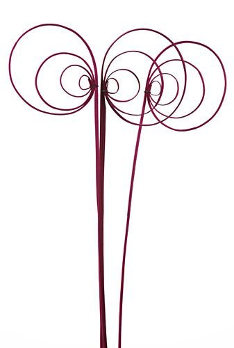 Pawie oko z rattanu – 4 szt. różowe | 50 cm | Dekoracja do wazonu i stroika 