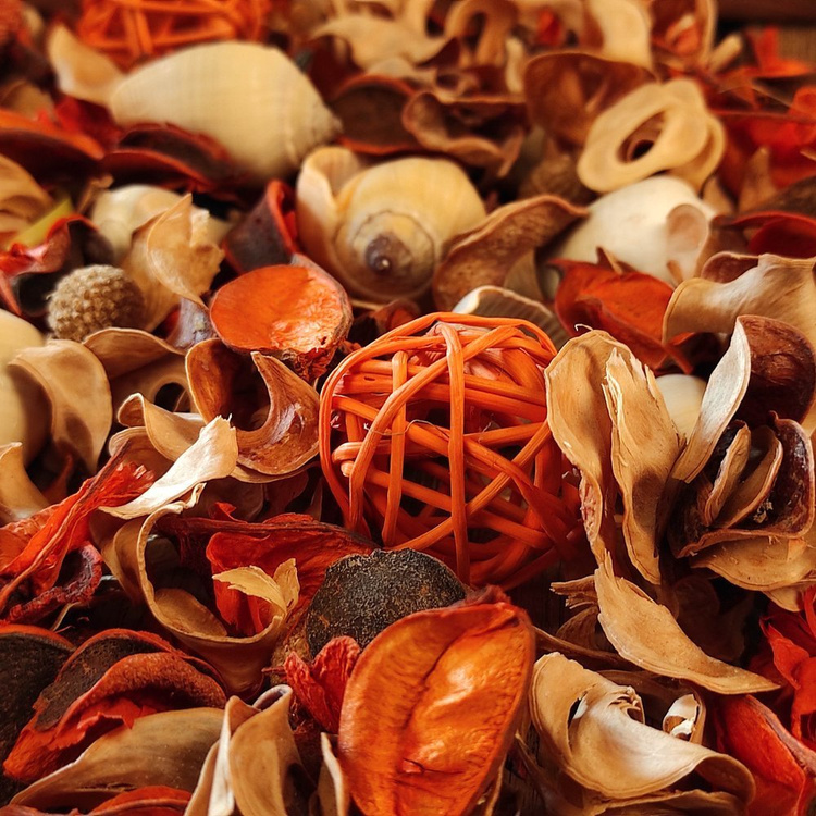 Suszone rośliny Potpourri Lato 2025