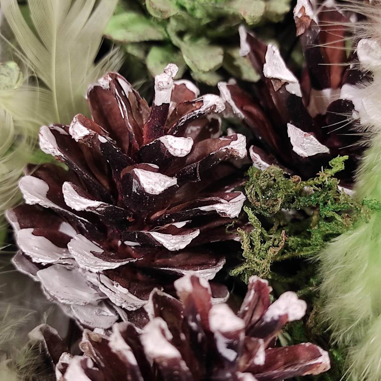 Szyszki sosny z ręcznie bielonymi brzegami – zestaw 60 sztuk | 