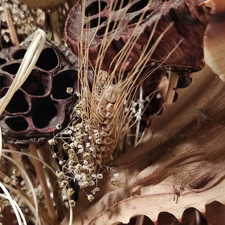 Bukiet z suszonych roślin do wazonu