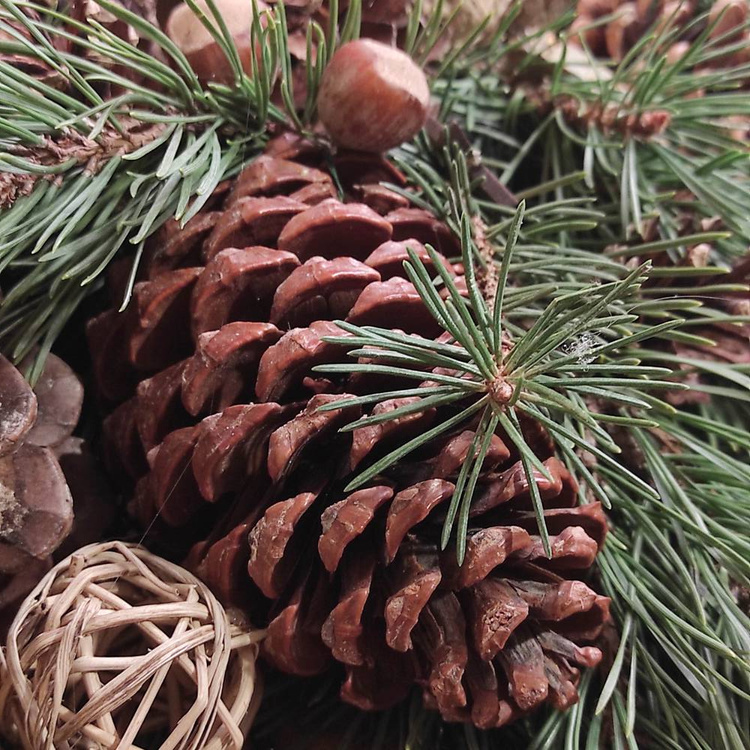 Wianek Świąteczny GrandDeco 40–50 cm – Naturalne Igliwie, Szyszki, Dekor Premium | Ręcznie Tworzony