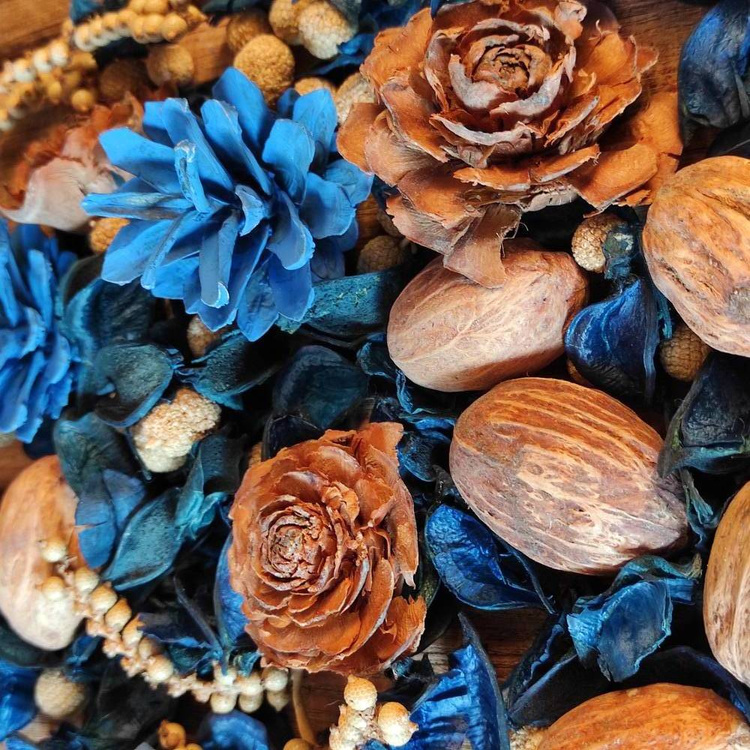 Suszone rośliny szyszki, owoce pieprzowca, amra, róże cedrowe, owoce bora 