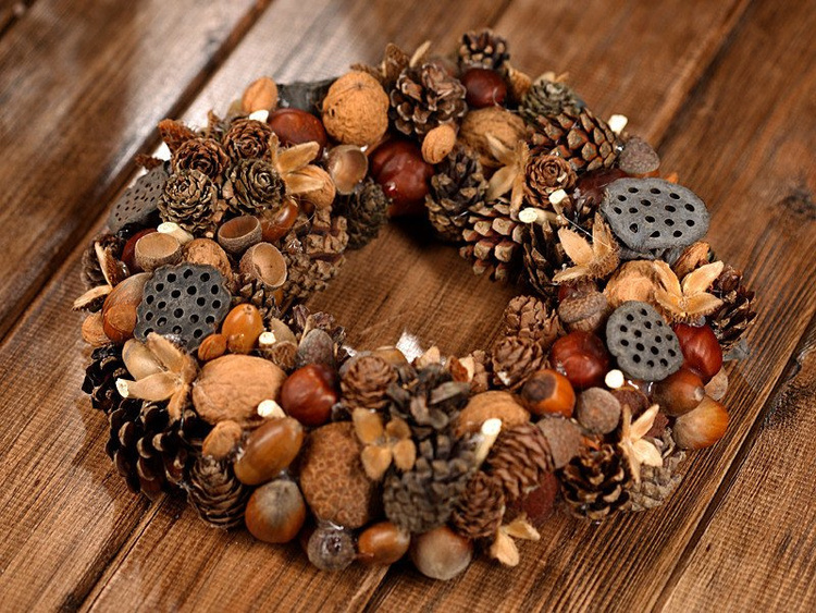 Lotos suszona roślina 6–8 cm – 6 szt. w opakowaniu