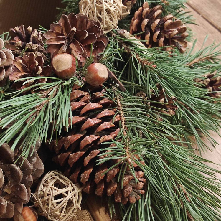 Wianek na drzwi z żywego igliwia z szyszkami  40-50 cm