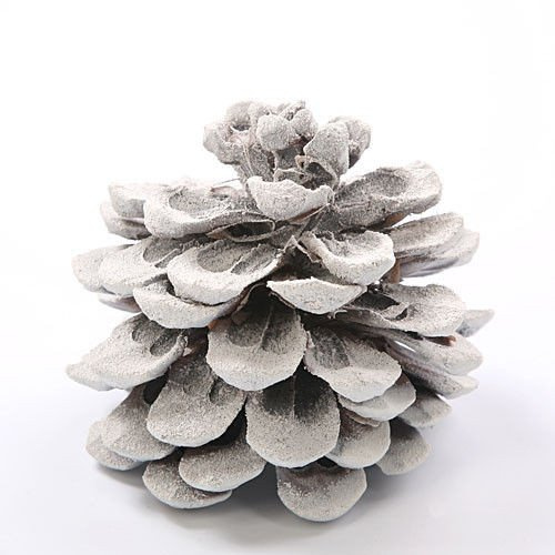 Zimowe Szyszki Pinus 12 cm – Naturalna Dekoracja w Stylu Skandynawskim