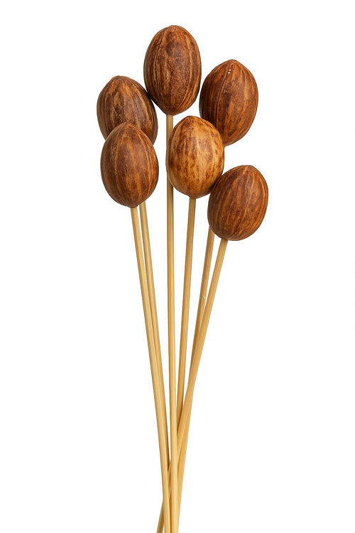 Naturalne orzechy Amra na pikach – zestaw 6 szt.