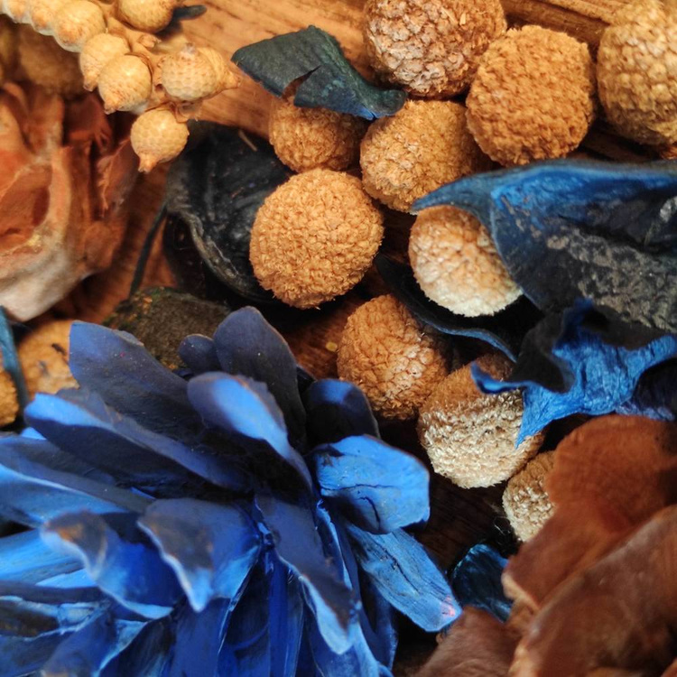 Suszone rośliny szyszki, owoce pieprzowca, amra, róże cedrowe, owoce bora 