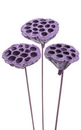 Lotos na piku malowany średnica 6-8 cm 6 szt./ op.jasny fiolet