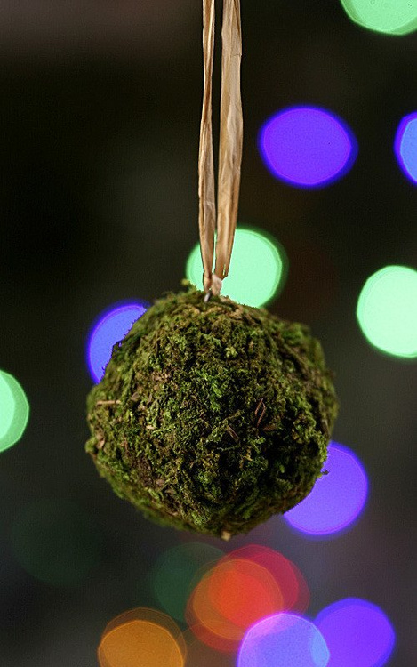 Kule z mchu 5-6 cm 3 szt/op