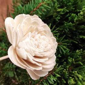 Kwiaty Shola na Drewnianym Piku 20 cm – Zestaw 6 szt. | Kolekcja GrandDeco | Główka 6 cm