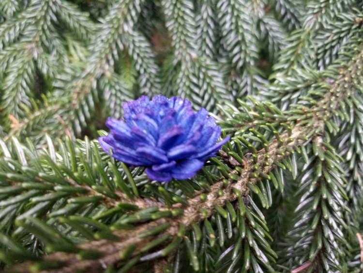 Kwiaty na choinkę, stroik, wianek, potpourri – granatowo-białe (60 szt.)