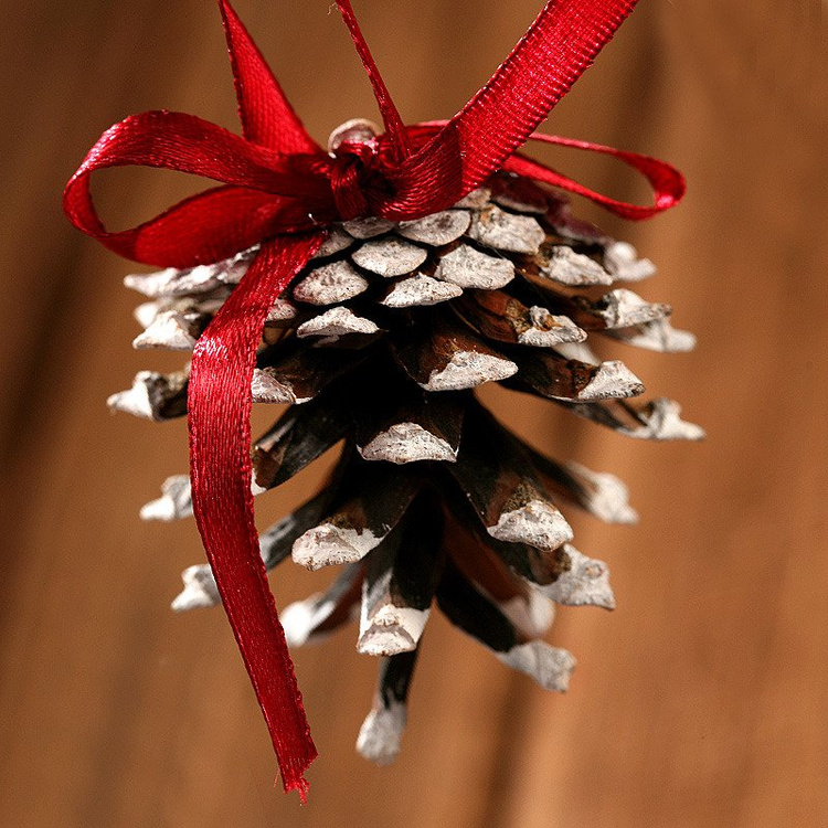  Szyszka z czerwonym akcentem – zestaw naturalnych zawieszek świątecznych