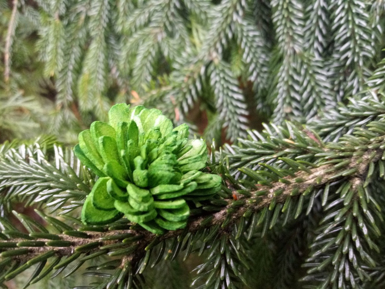 Zielone kwiaty shola 60 szt do świątecznych stroików, wieńców, stołu, DIY