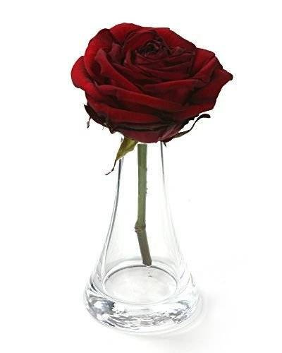  Odżywka do kwiatów10 szt./op.