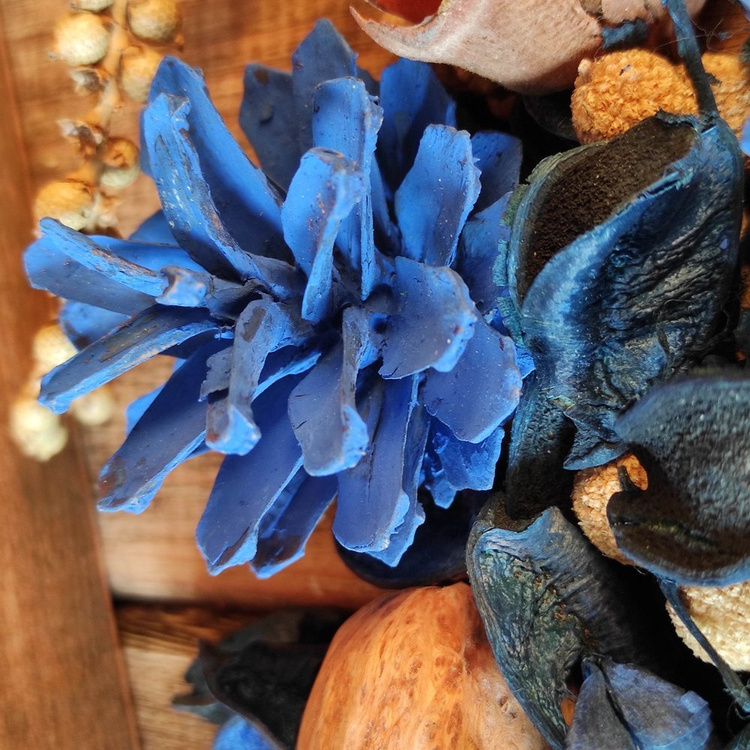 Suszone rośliny szyszki, owoce pieprzowca, amra, róże cedrowe, owoce bora 