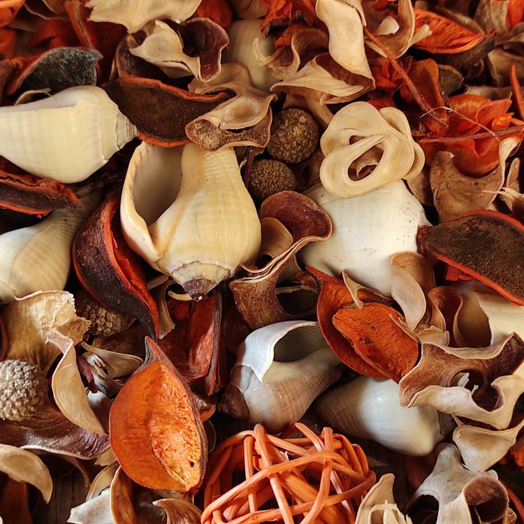 Suszone rośliny Potpourri Lato 2025