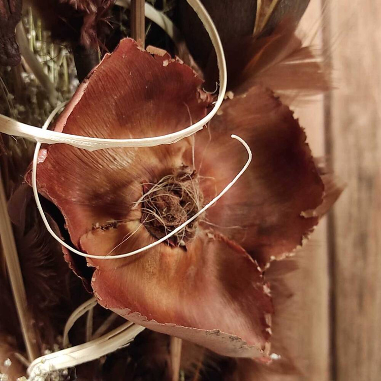 Bukiet z suszonych roślin do wazonu