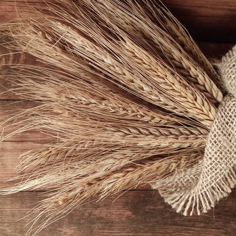 Bukiet traw zboże naturalne w jutowym woreczku  25-30 cm 