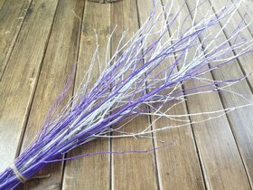 Bukiet suszonych gałązek brzozy fioletowo-biały