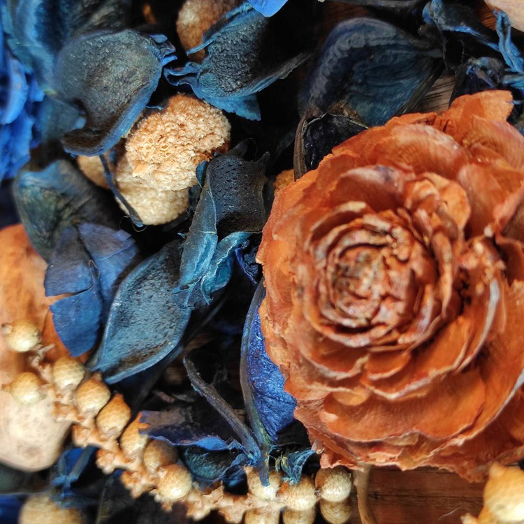 Suszone rośliny szyszki, owoce pieprzowca, amra, róże cedrowe, owoce bora 