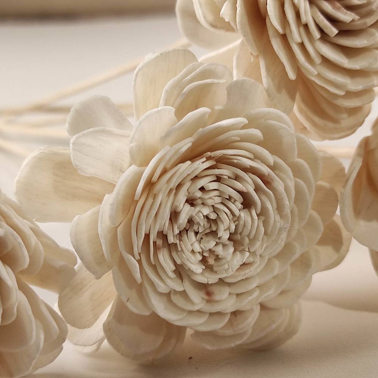 Kwiaty Shola na Drewnianym Piku 20 cm – Zestaw 6 szt. | Kolekcja GrandDeco | Główka 6 cm