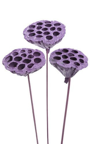 Lotos na piku malowany średnica 6-8 cm 6 szt./ op.jasny fiolet