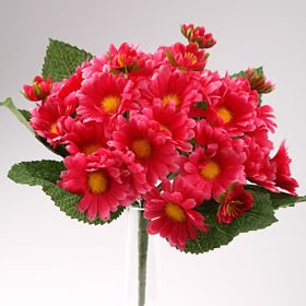 Bukiet stokrotki jasnoczerwonych - ok 24 kwiaty 40 cm