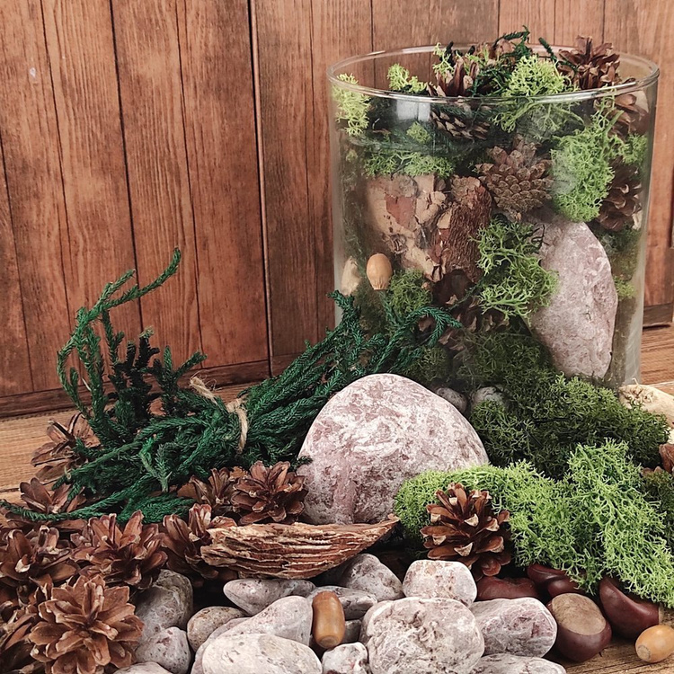  Chrobotek Mech Zielony reniferowy 50g naturalny  - norweski islandzki preparowany skandynawski - dekoracja ściany - spring green