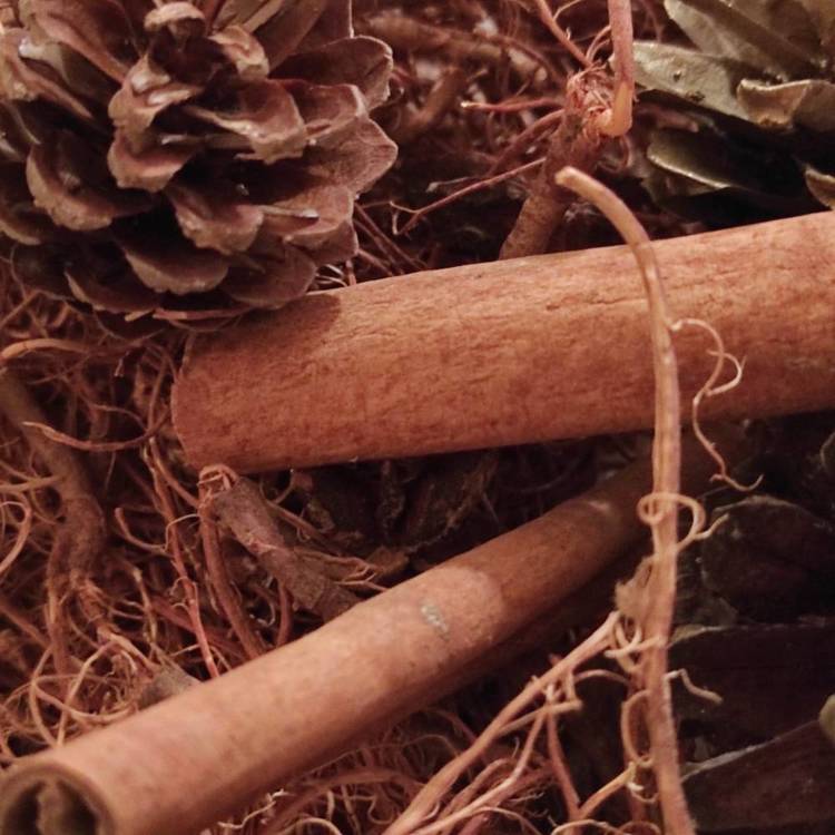 Suszone rośliny Potpourri  cynamon, szyszki, anyż, korzonki, drewniane gwiazdki