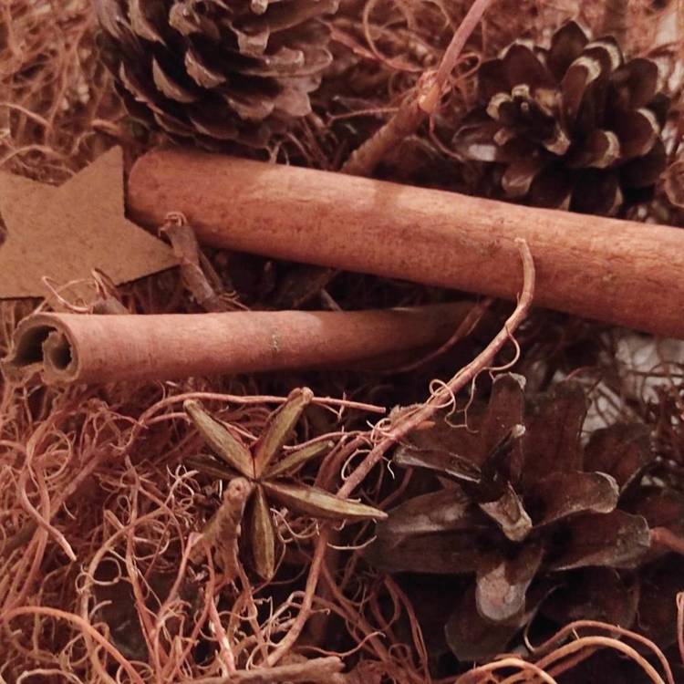 Suszone rośliny Potpourri  cynamon, szyszki, anyż, korzonki, drewniane gwiazdki